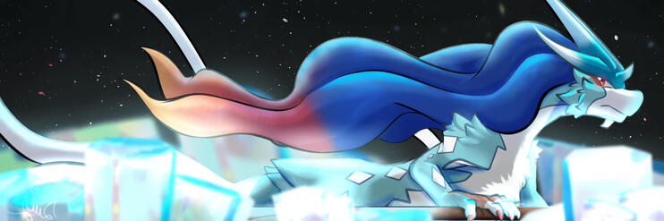 Sui Banner Sui Banner